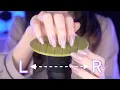 Download Lagu ASMR Cerebrale penetrerende krabtriggers voor sterke tintelingen 🌙