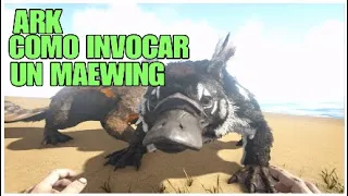 ARK COMO INVOCAR MAEWING - COMO INVOCAR UN MAEWING EN ARK