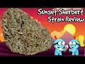 Sunset Sherbert Strain Review