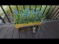 Review for CYS EXCEL Brown Wooden Planter Box