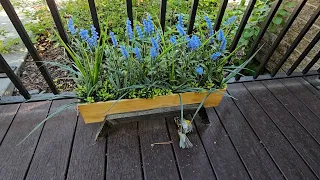 Review for CYS EXCEL Brown Wooden Planter Box