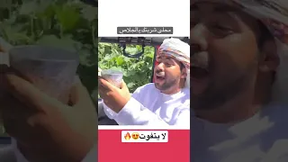 أغاني شعبية محلى شربتك يالجلاص 