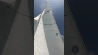 Smooth Sailing #shorts#sailing#sailboat