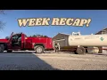 Week Recap Putting on Gas and Baby Belly Laughs
