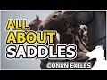 All about Saddles CONAN EXILES