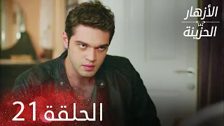 الأزهار الحزينة الحلقة 21 كاملة Kırgın Çiçekler 