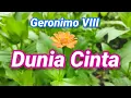 Download Lagu Dunia Cinta Geronimo VIII Dua Insan Anak Manusia Yang Sedang Dilanda Asmara Berbagi Kasih Nan Mesra