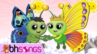 Download Fly Fly The Butterfly | Nursery Rhymes TV [Vocal 4K] MP3
