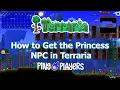 How to Get the Princess NPC in Terraria