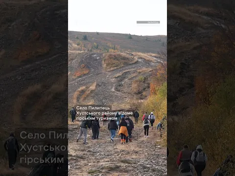 Джипінг: розвага чи кримінал? #новини