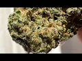 Rise Dispensary Eagan Minnesota Animal Face 3 5 Grams Best Product Deal In The Minneapolis Area