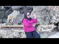 Download Lagu DIANA AO | IYA' MULUSERENG LAINGNGE MUINGNGERANG | Fyp tiktok | Cipt. Busrianto