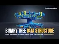 Master Binary Tree in Data Structures part 1 Step by Step Explanation