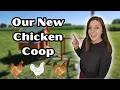 Tour Our Wayfair Chicken Coop