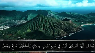 سورة يوسف بصوت القارئ أنس عبدالستار دندنها