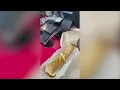 Ozark Firehouse Subs owner makes a death wish to customer