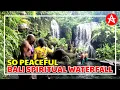 You must visit TAMAN BEJI GRIYA WATERFALL the SPIRITUAL WATERFALL in BALI
