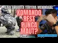 KOMANDO REST PUNCA MENINGGAL??