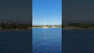 Fakarava Atoll, Tuamotu 🌊 Flat Water & Insane Underwater World! | Pacific Paradise #shorts