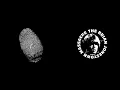 Fingertips - The Brian Jonestown Massacre