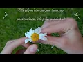En effeuillant la marguerite!