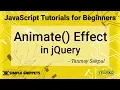 JQuery Animate Effect