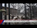 Oklahoma puppy mills that advertised selling puppies in Canton busted in large-scale operation