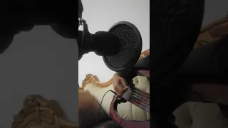 هذا الوفا وانت تشوفه بعينك  دندنها