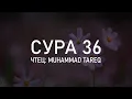 Lagu Сура 36 «Йа Син» - Мухаммад Тарик