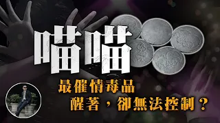 喵喵，最危險的催情藥！如何讓女生失控？為何男生用了卻會X無能？【77老大】