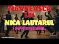 Download Lagu 2024 Tiganesca la Acordeon - Hora lui Nică