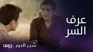 مسلسل شجر الحور الحلقة 5 جيانوس يفاجئ إيليني بسر الجريمة 