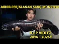 Download Lagu INALILLAHI! UNBOXING TOMAN MONSTER KESAYANGAN YANG TIBA TIBA MATI
