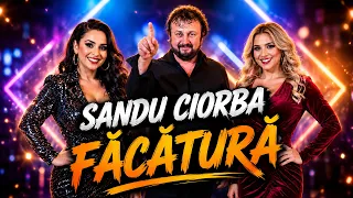 Descarcă Sandu Ciorba - Facatura MP3 gratuit - Muzica123