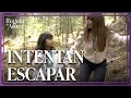 Lagu Isabella y Valentina huyen de las garras de Bárbara | Regalo De Amor 4/4 | Capítulo 82