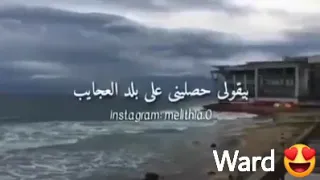 بيقولي حصليني علي بلد العجايب دندنها