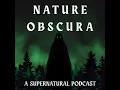 Michigan s Most Credible UFO Case 300 Witnesses and Weather Radar Evidence