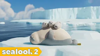 🍼 The Cutest Seal Trio | More Cuteness, More Chaos | SEALOOK Compilation