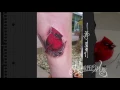 cardinal