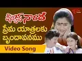 Ilayaraja Hit Songs Telugu | Yavvanala Puvvulanni  | Detective Narada Video Songs | TeluguOne