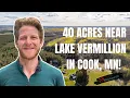 40 Acres for Sale in Cook Minnesota Hunting Recreational Land Near Lake Vermilion