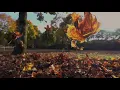 Wolfgang Amadeus Mozart / "Requiem" / Best parts - "Lacrymosa" / HD / 4K video /