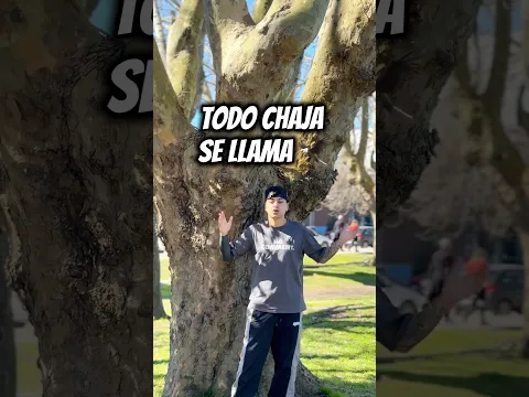 Todo chaja se llama 🦅