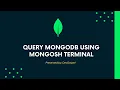 Query MongoDB with Mongosh Terminal CRUD operations Part 1