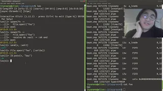 Peeking under the hood of File IO in Elixir