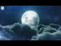 8 Hours of Guided Sleep Meditations for Deep Sleep