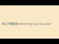 绝口不提爱你 Never Say Love You