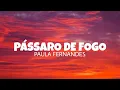 Download Lagu Pássaro de fogo - Paula Fernandes (lyrics)