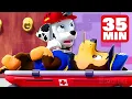 Doctor Marshall must heal Chase Marshall Best Scenes from PAW Patrol - 35 Minutes Compilation