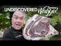 Lagu I found Japan's most PRIZED Wagyu!